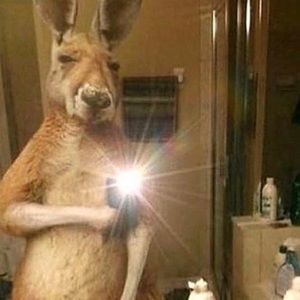 Meet your Posher, Marquis